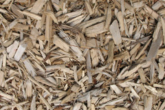 biomass boilers Bontuchel